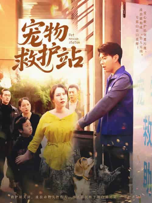 宠物救护站 宠物救护站