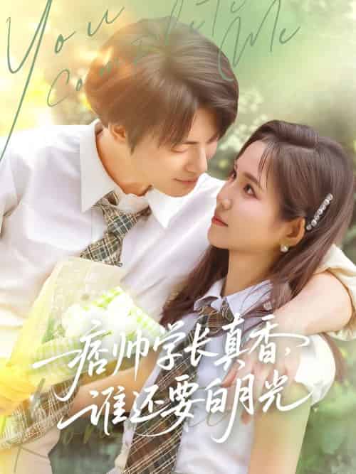 痞帅学长真香谁还要白月光（70集）刘叁肆＆馨方 - 海之城短剧