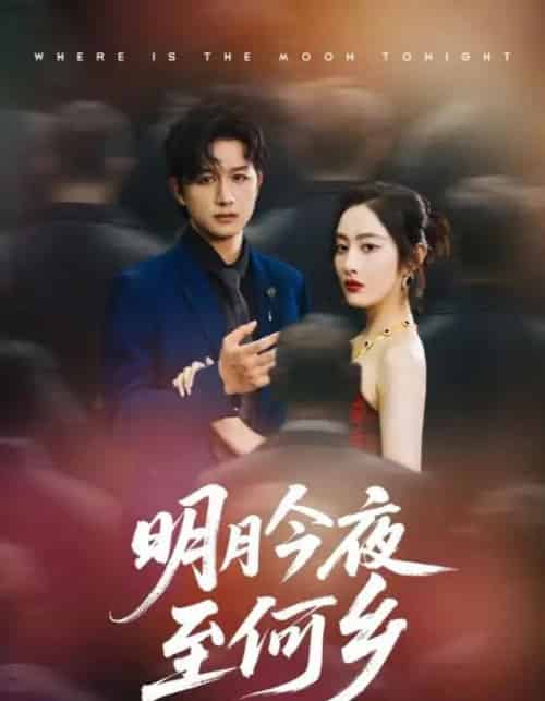 明月今夜至何乡（70集）-海之城短剧项目