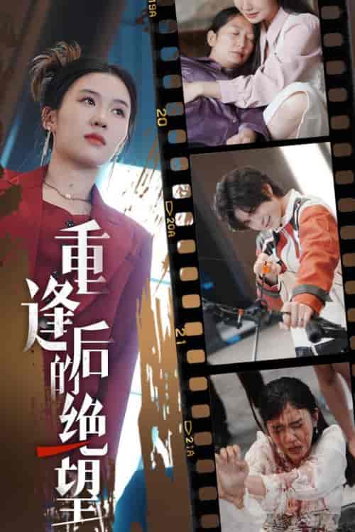 重逢后的绝望（71集全） - 海之城短剧