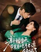 新婚当天带崽崽和乞丐老公领证了（60集全）朱予彤-海之城短剧项目