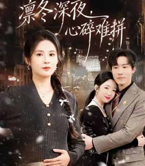 凛冬深夜，心碎难拼（64集全）陈辰＆陈酉昔-海之城短剧项目