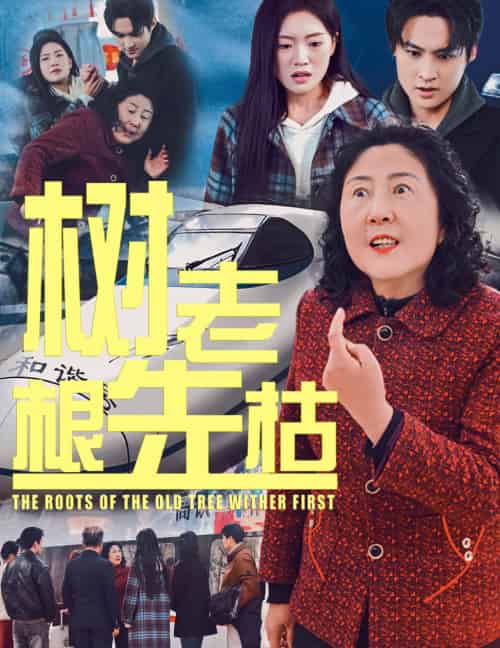树老根先枯（33集） - 海之城短剧