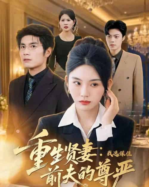 重生贤妻：我选保住前夫的尊严（80集全）齐博然＆张渊博-海之城短剧项目