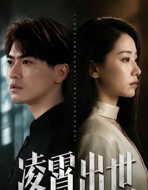 凌霄出世（82集全）都钊＆顾嘉轩-海之城短剧项目