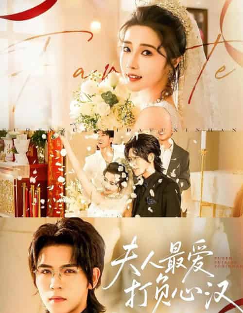 夫人最爱打负心汉（65集全）-海之城短剧项目