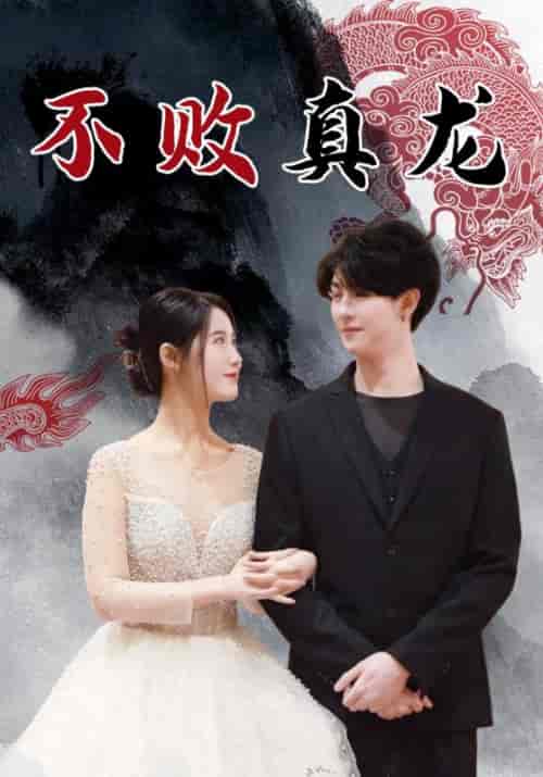不败真龙（100集全）楚星言＆林雨洛 - 海之城短剧