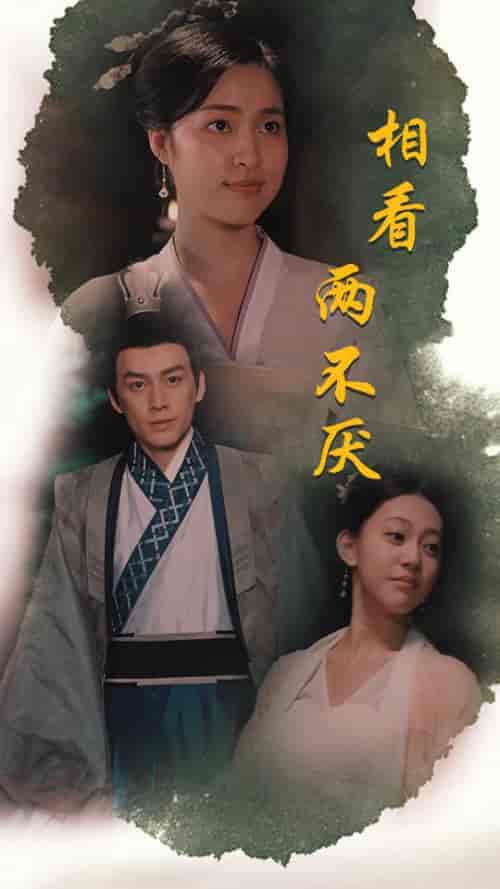 相看两不厌＆这个王妃不好惹（85集） - 海之城短剧
