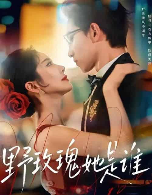 野玫瑰她是谁（84集全）李叙洲＆王小橙-海之城短剧项目