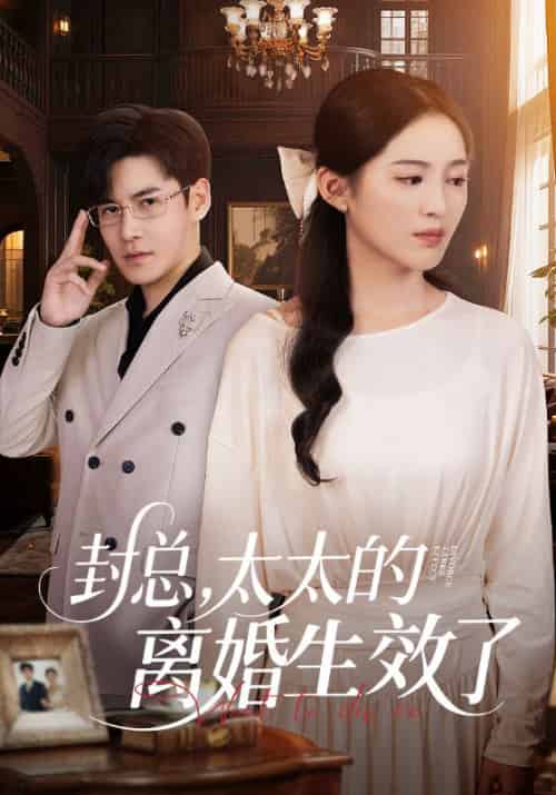 封总，太太的离婚生效了＆封总太太的离婚生效了（82集全）崔秀子＆李子锋 - 海之城短剧
