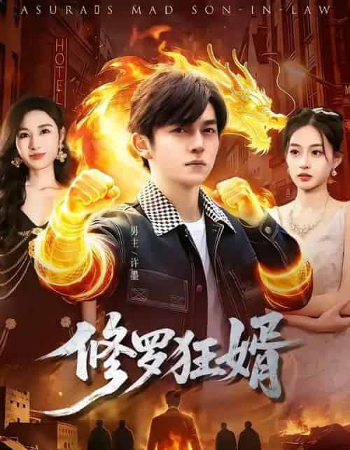 修罗狂婿（114集全）鸡翅＆文昕-海之城短剧项目