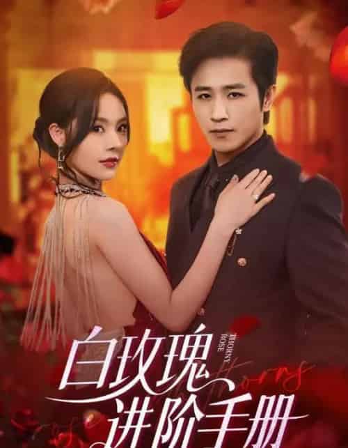 白玫瑰进阶手册（64集）古铭瀚＆赵西-海之城短剧项目