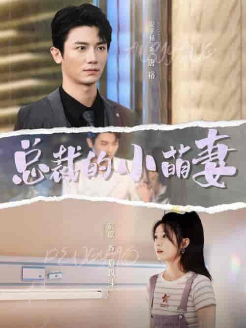 总裁的小萌妻（89集全）彭瑶＆安子杨 - 海之城短剧