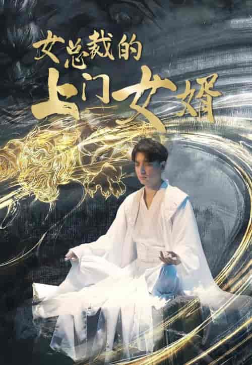 女总裁的上门女婿 女总裁的上门女婿