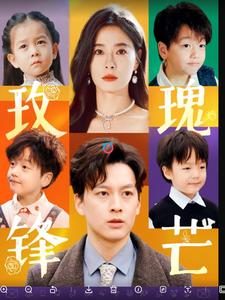 玫瑰锋芒（100集全） - 海之城短剧