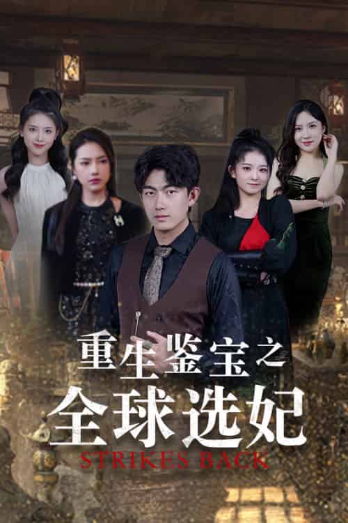重生鉴宝之全球选妃＆鉴宝之逆转人生（80集） - 海之城短剧
