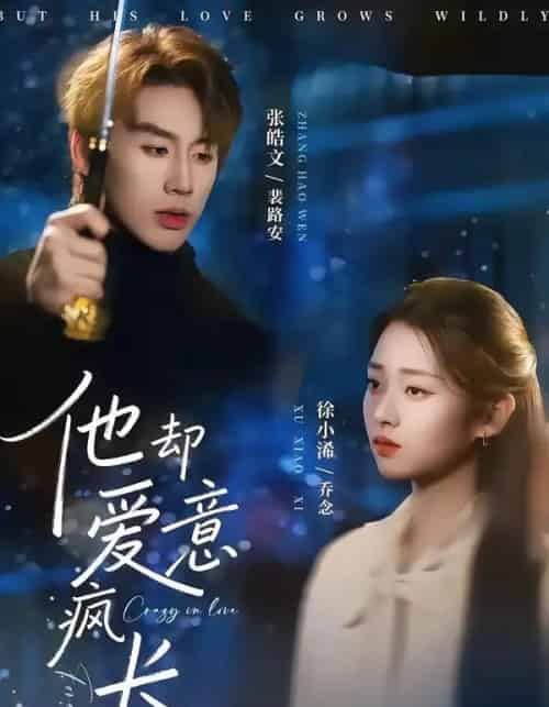 他却爱意疯长（56集全）张皓文＆徐小浠-海之城短剧项目