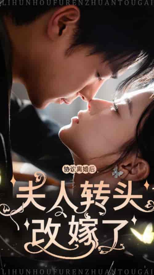 协议离婚后夫人转头改嫁了（63集全） - 海之城短剧