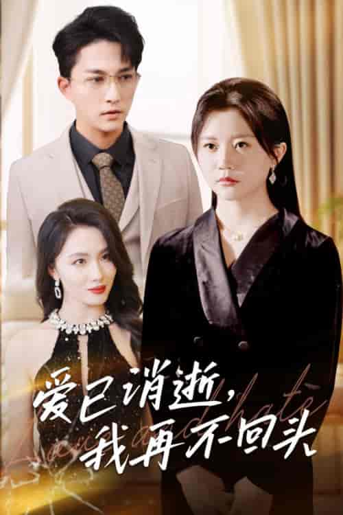 爱已消逝我再不回头（31集全）李家圆子 - 海之城短剧