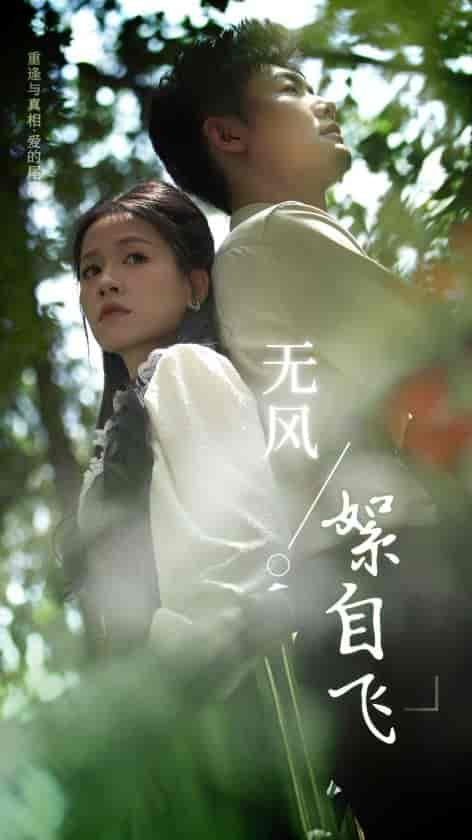 无风絮自飞 无风絮自飞