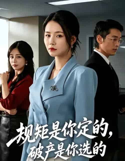 规矩是你定的，破产是你选的（83集全）王姝懿＆赵焕城-海之城短剧项目