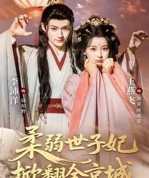 柔弱世子妃掀翻全京城（70集全）李沛洋＆王燕飞-海之城短剧项目