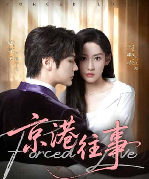 京港往事（80集全）赵垣又＆王冰星-海之城短剧项目