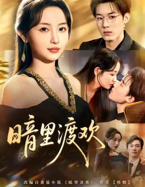 暗里渡欢（80集全）王子岳＆刘玥-海之城短剧项目