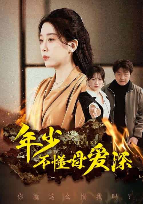 年少不懂母爱深（83集全）翟鹏涛＆高美兰 - 海之城短剧
