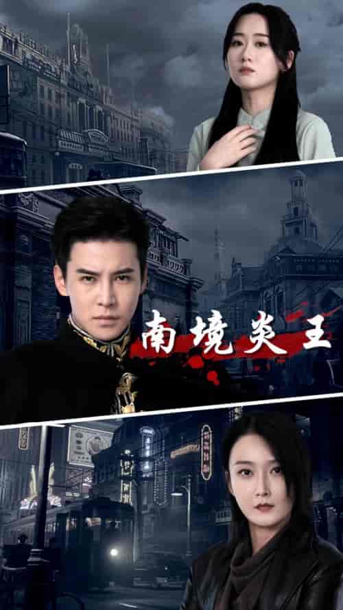 南境炎王（80集） - 海之城短剧