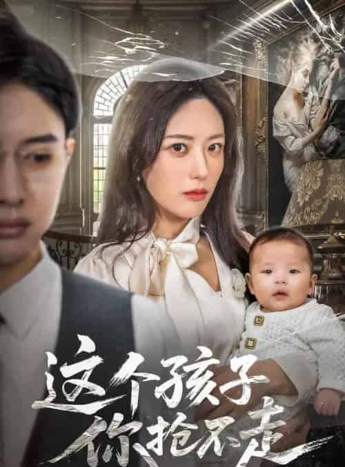 这个孩子你抢不走（45集全）陈程玉＆胡继月-海之城短剧项目