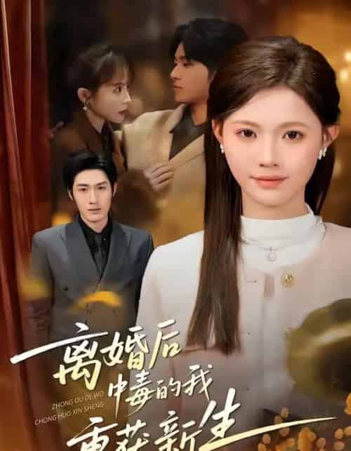 离婚后中毒的我重获新生（52集全）丁紫嫣＆张易嵘＆单樱杰-海之城短剧项目