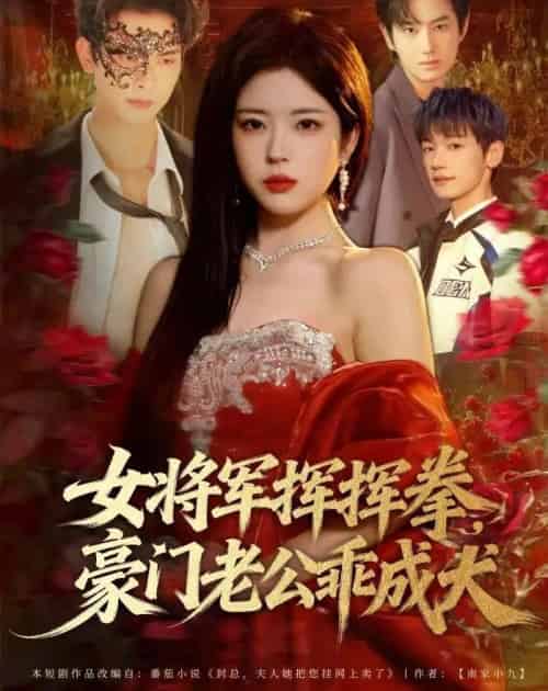 女将军挥挥拳，豪门老公乖成犬（80集全）韦若辰＆熊安妮-海之城短剧项目