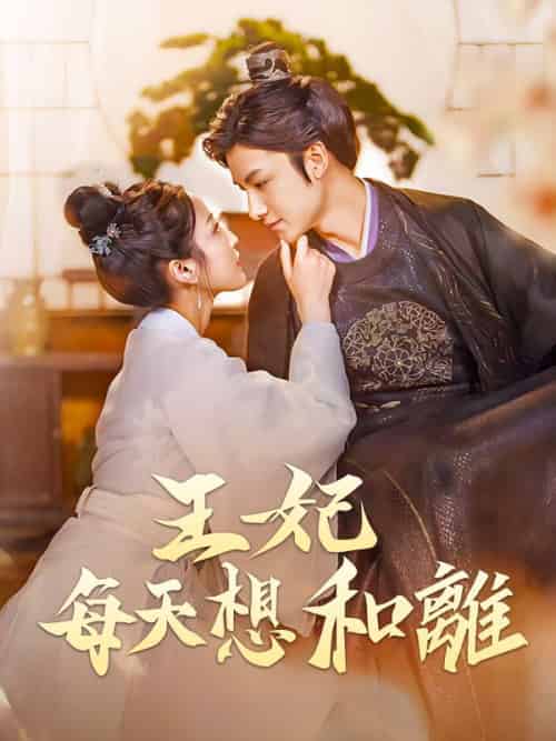 王妃每天想和離（97集全）沈青珩＆江汐瑤 - 海之城海外短剧
