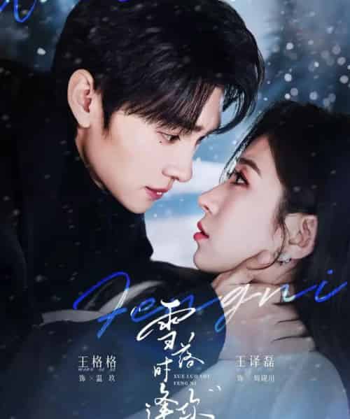 雪落时逢你（75集全）王译磊＆王格格-海之城短剧项目