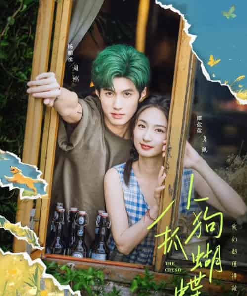 小狗抓蝴蝶 小狗抓蝴蝶
