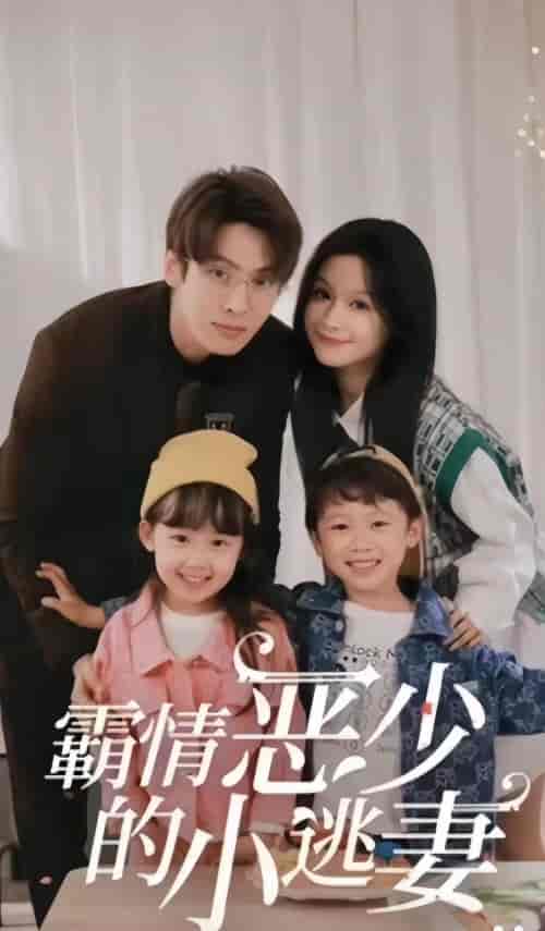 霸情恶少的小逃妻 霸情恶少的小逃妻