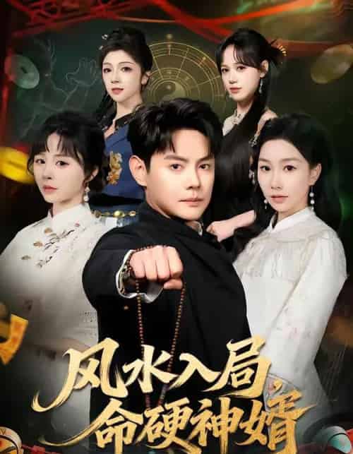 风水入局，命硬神婿（80集全）邱浩轩＆张馨悦-海之城短剧项目