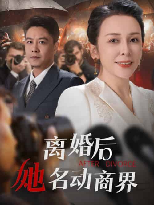 离婚后她名动商界（30集全）王小野＆乔乔 - 海之城短剧