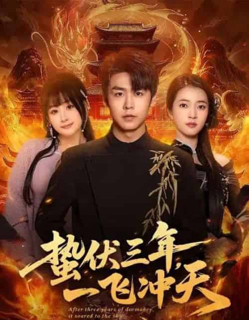 蛰伏三年，一飞冲天（60集全）孔德瑞＆刘浔-海之城短剧项目