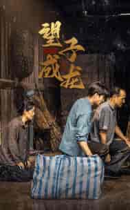 新版：望子成龙（59集） - 海之城短剧