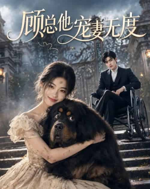 顾总他宠妻无度（36集全）AI-海之城短剧项目