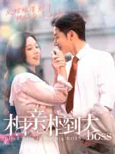 相亲相到大boss（101集） - 海之城短剧