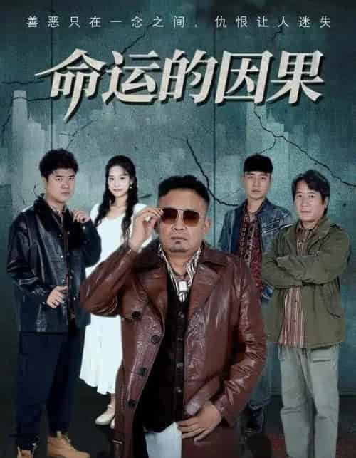 命运的因果（60集全）贾楠＆刘诣文-海之城短剧项目