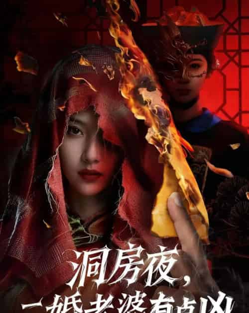 洞房夜，二婚老婆有点凶（66集全）樊磊＆李奕璇-海之城短剧项目