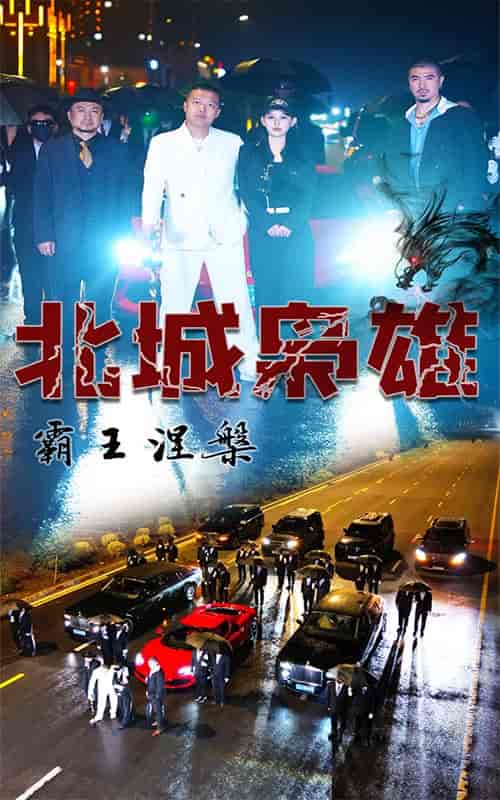 北城枭雄，霸王涅槃（80集） - 海之城短剧