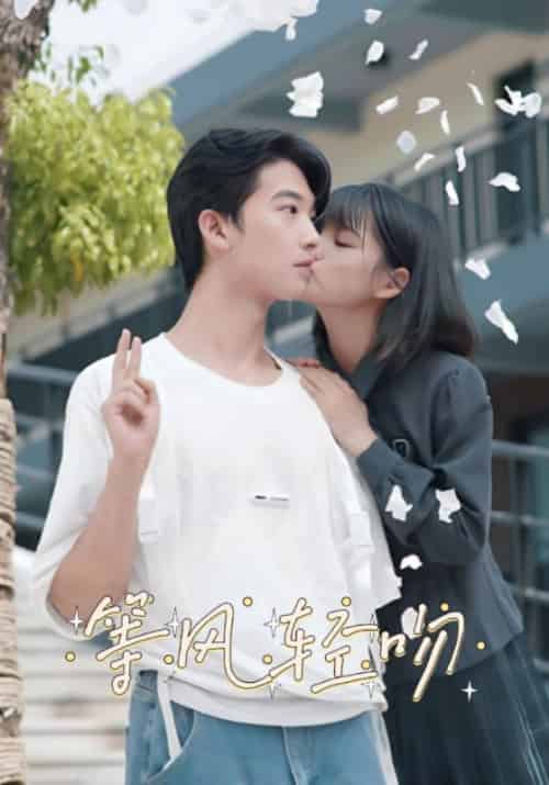 等风轻吻（24集全）陆之言＆韩轻轻 - 海之城短剧