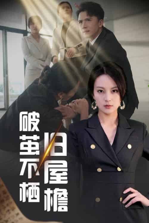 破茧不栖旧屋檐（30集全）赵志盟＆伍怡 - 海之城短剧