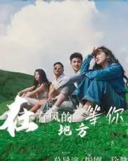 在有风的地方等你（32集） - 海之城短剧