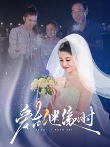爱在继缘时（52集全） - 海之城短剧